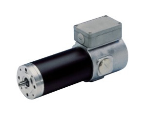 Permanent Magnet Motors and Servo Motors
