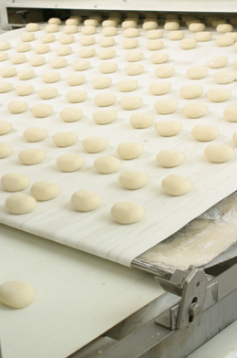 food conveyor belts