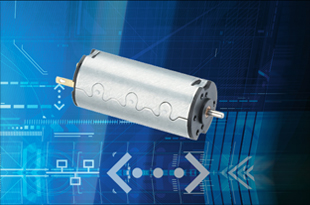 brush-type DC motor