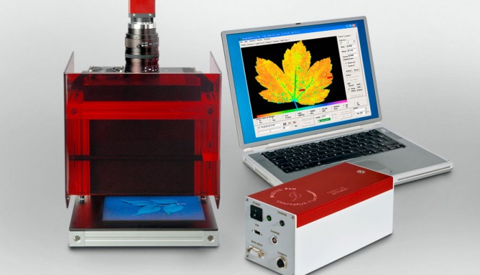 Allied Vision Technologies GmbH
