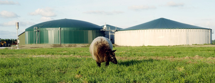 Biogas Pellworm