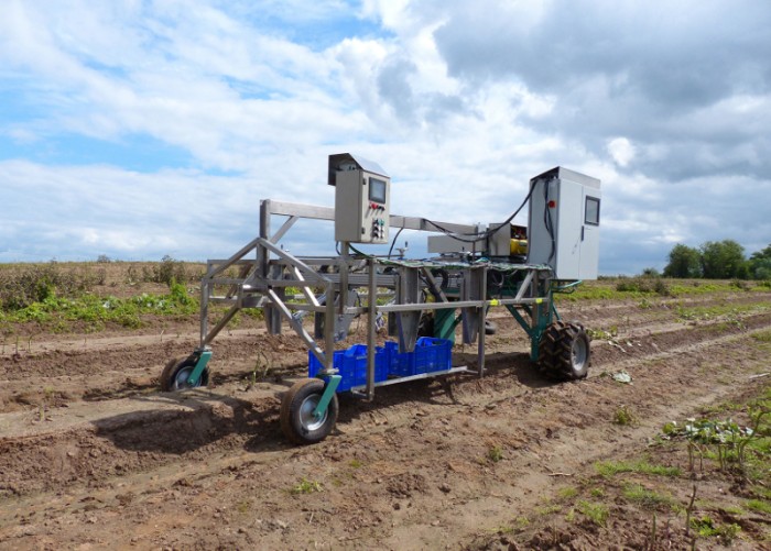 “Green asparagus harvesting robotic system" (Garotics) is able to work for 24 hours in the fields.Photo by HepcoMotion