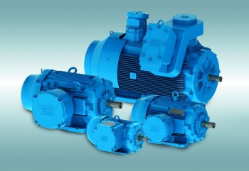W22X Line of Flameproof Motors