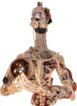 anthropomimetic_robot
