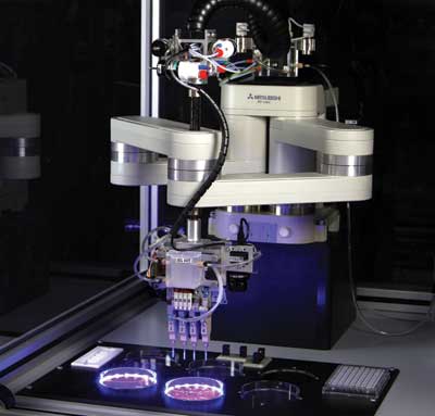 avt machine vision cameras