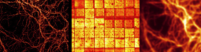 applications microscopy inspection 