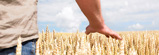 WELTEC BIOPOWER