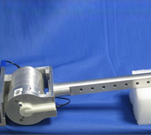 Biologically-inspired safety test