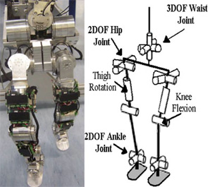 the assembly of the robot lower body