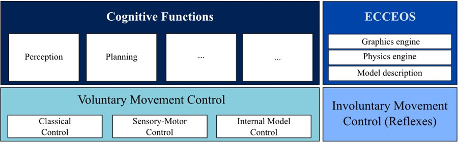 Behavioral Subsystem 