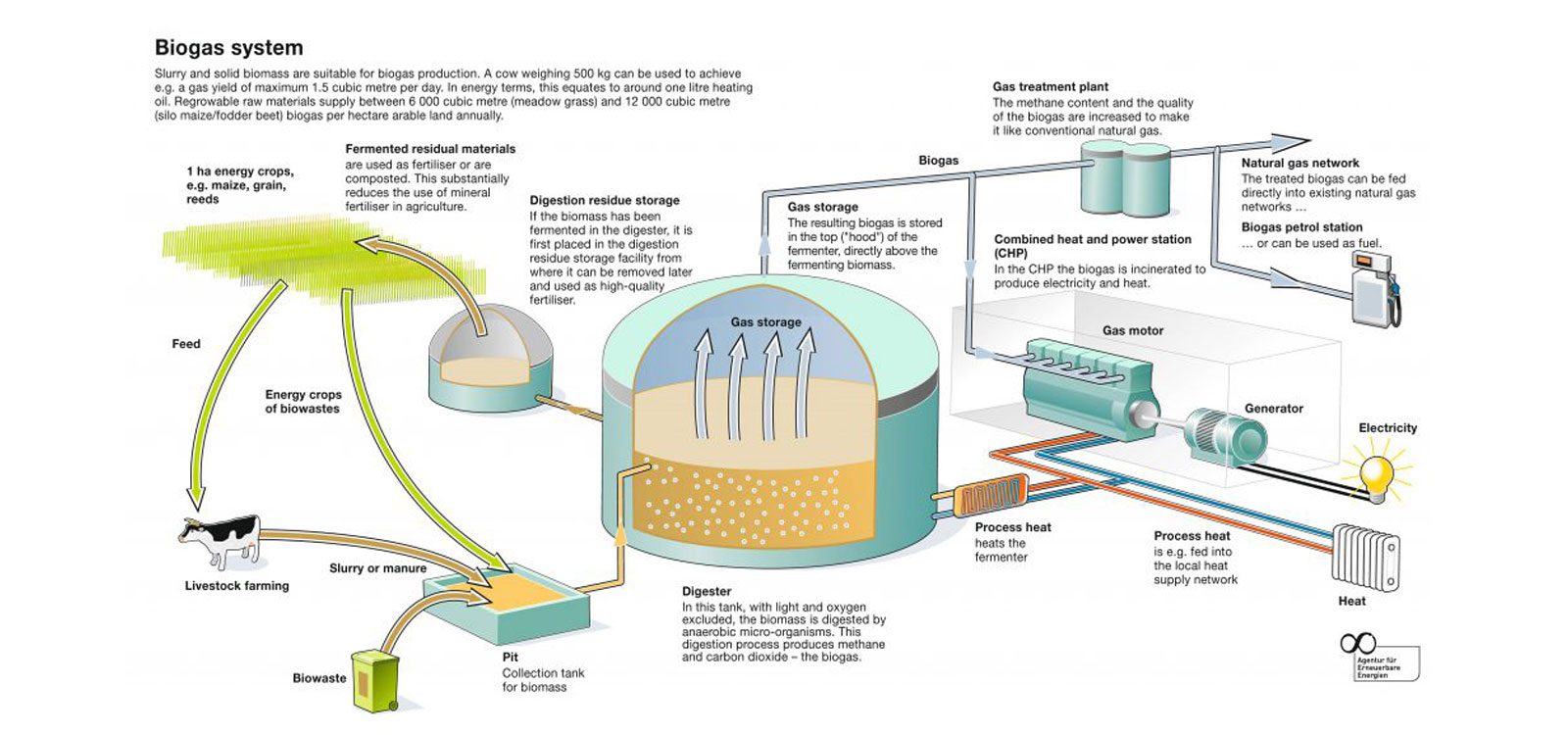 Biogas plants, pumping technology, CHP module, gas storage, hygenisation  tank by PlanET