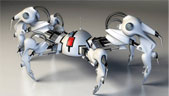 Biomimetic Robots