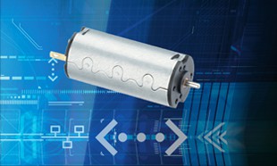 brush-type DC motor
