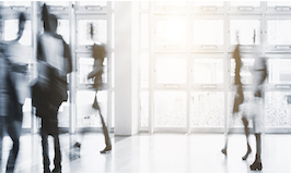 BRABENDER TECHNOLOGIE GMBH & CO. KG