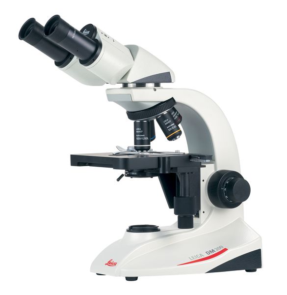 The Leica DM300 sets exemplary preconditions in educational microscopy. It’s improved with ISO labeled plan achromat objectives, optical correction in the binocular tubes and enhanced stage travel. These enhancements allow students a clearer view on the specimens, so more details can be discovered.Photo by Leica Microsystems GmbH 