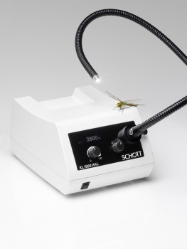 The first halogen cold light source “KL 1500 HAL” from SCHOTT that features a fiber optic gooseneck offers the highest performance with color measurements in stereomicroscopy and macroscopy.Photo by SCHOTT AG