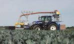FANUC robots helps to future-proof production for UK broccoli growers