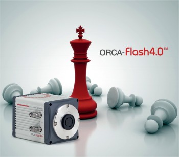 ORCA-Flash4.0